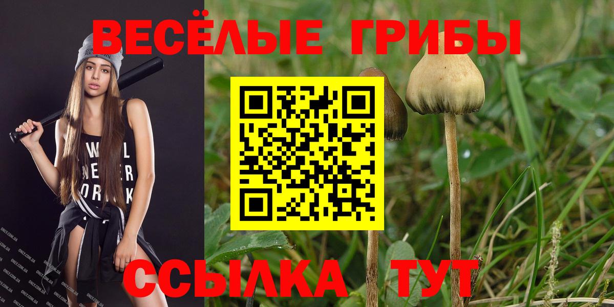 Топки  Псилоцибиновые грибы ЛСД  Вход с VPN  Псилоцибиновые грибы Magic Shrooms 